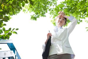 ミステリーショッパーの募集に申し込み